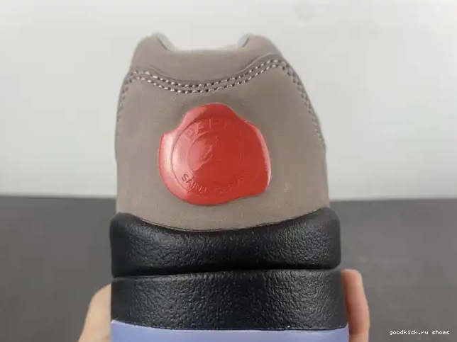 x Air DX6325-204 Low PSG Jordan 5 0528